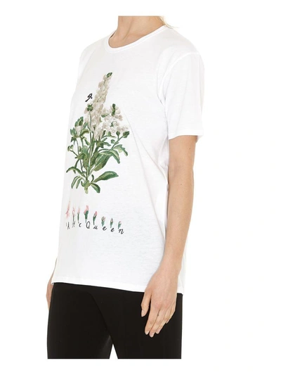 Shop Alexander Mcqueen Botanical Gardel Tshirt In White
