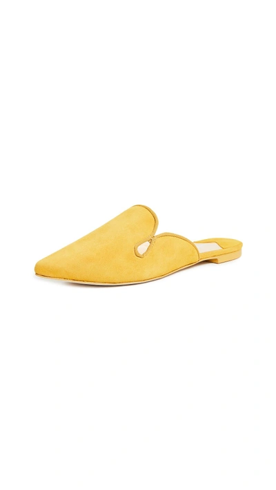 Shop Isa Tapia Canova Mules In Canary Yellow