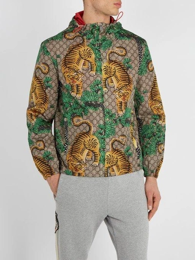 Gucci Tiger Print Nylon Jacquard Gg Jacket In Multi | ModeSens