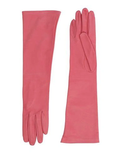 Shop Dsquared2 Gloves In Pastel Pink