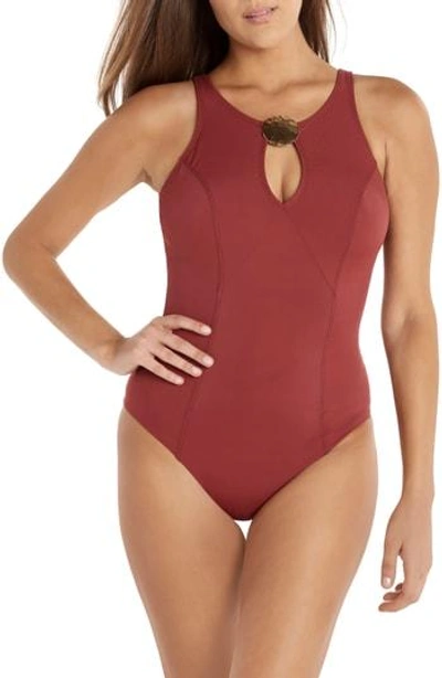 Shop Amoressa Laura Mars Faye One-piece Swimsuit In Mahogany