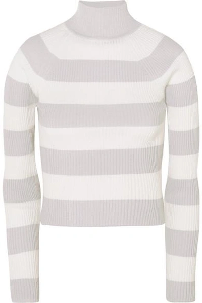 Shop Zimmermann Whitewave Cropped Striped Ribbed-knit Sweater In Gray