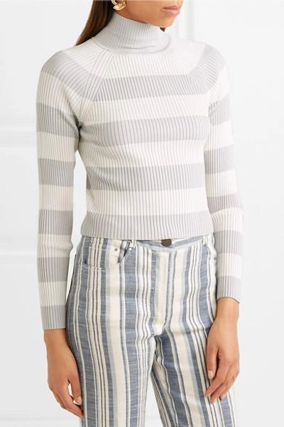 Shop Zimmermann Whitewave Cropped Striped Ribbed-knit Sweater In Gray