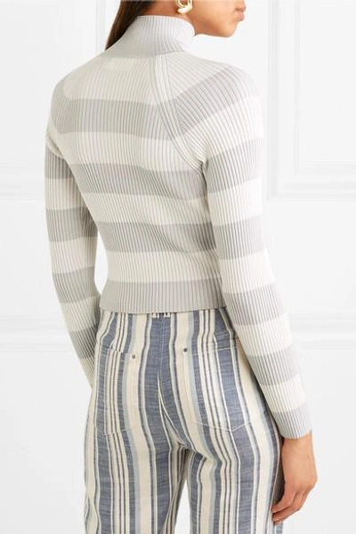 Shop Zimmermann Whitewave Cropped Striped Ribbed-knit Sweater In Gray