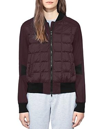 Shop Canada Goose Hanley Bomber Down Jacket In Grape