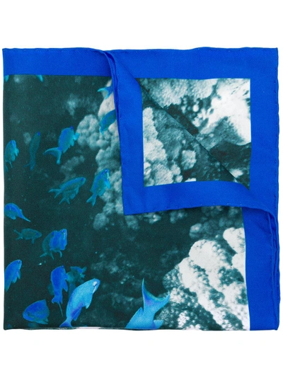 Shop Kiton Fish Print Scarf - Blue