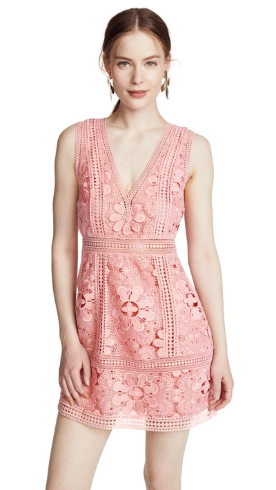Shop Alice And Olivia Zula Party Dress In Blossom