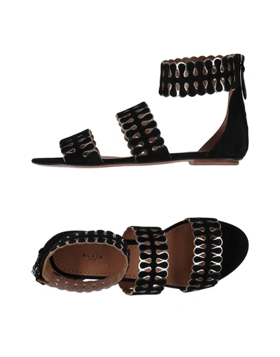 Shop Alaïa Sandals In Black