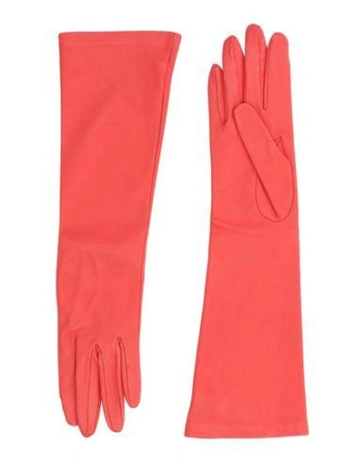 Shop Dsquared2 Gloves In Coral