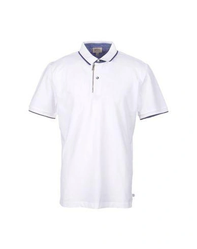 Shop Armani Collezioni Polo Shirts In White