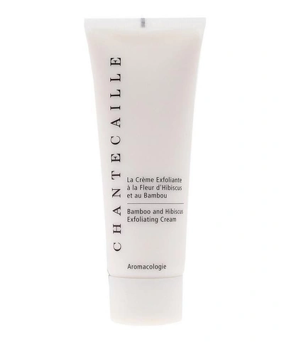 Shop Chantecaille Bamboo And Hibiscus Exfoliating Cream 75ml