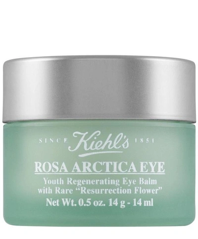 Shop Kiehl's Since 1851 Rosa Arctica Rejevenating Eye Balm 14g In White