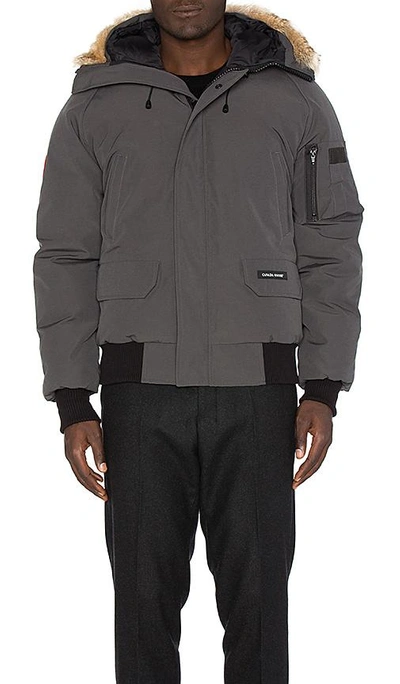 Shop Canada Goose Chilliwack Coyote Fur Trim Bomber In Charcoal