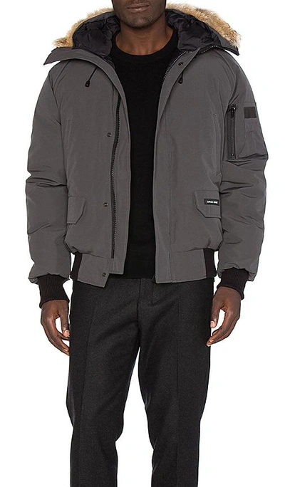 Shop Canada Goose Chilliwack Coyote Fur Trim Bomber In Charcoal