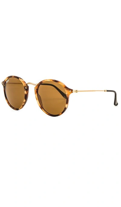 Shop Ray Ban Round Fleck In Tortoise & Brown Classic B-15