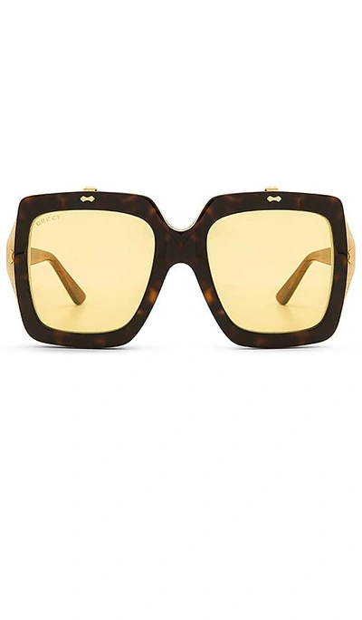 Shop Gucci Oversize Square Frame Acetate In Brown
