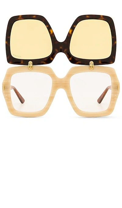 Shop Gucci Oversize Square Frame Acetate In Brown