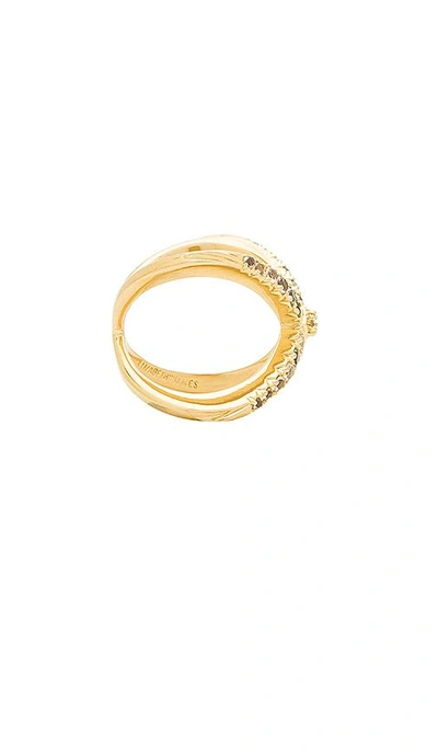 Shop Elizabeth And James Windrose Pave Ring In Yellow Gold