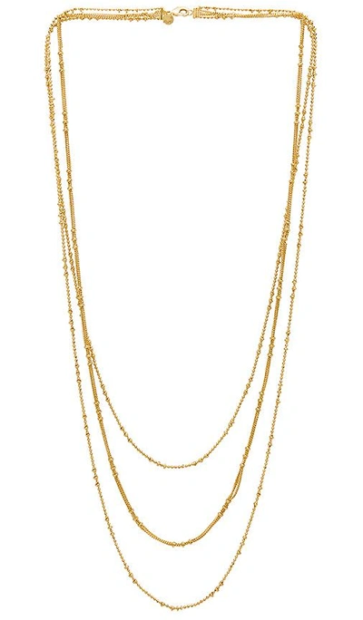 Shop Gorjana Margo Chain Layered Necklace In Gold