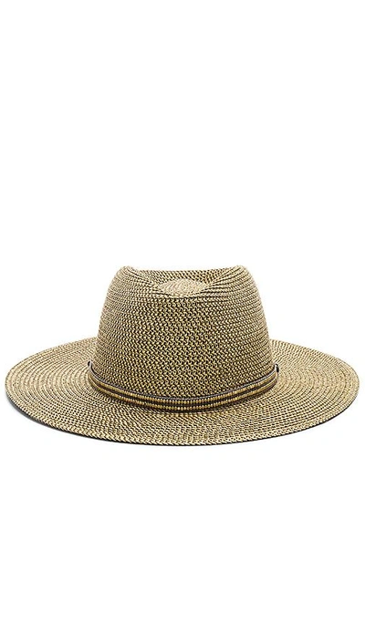 Shop Ale By Alessandra Kenzie Hat In Grey