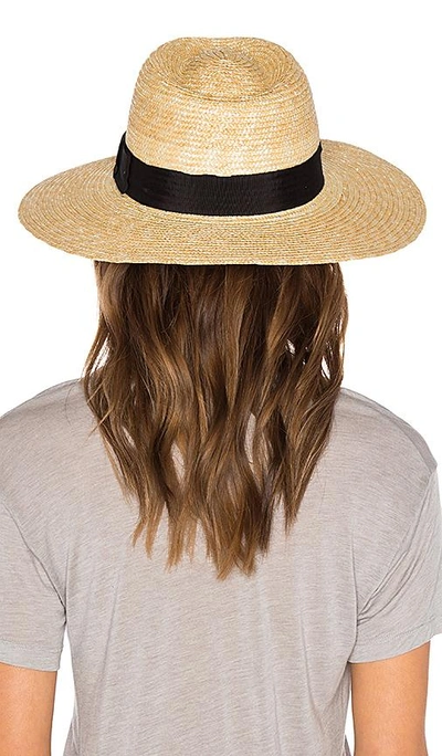 Brixton Joanna Straw Hat In Honey