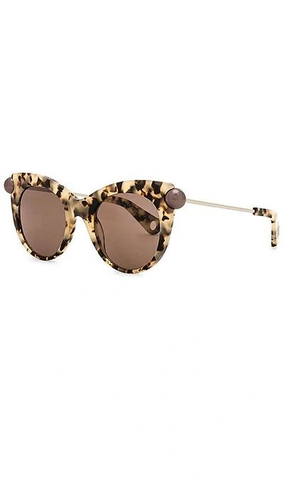 Shop Christopher Kane Cat Eye Acetate In Gray