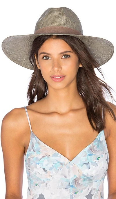 Shop Janessa Leone Angelica Wide Brimmed Panama Hat In Silver Sage