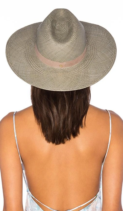 Shop Janessa Leone Angelica Wide Brimmed Panama Hat In Silver Sage