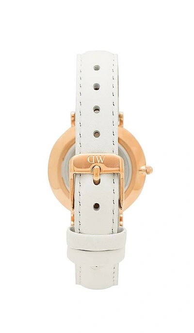 Shop Daniel Wellington Petite Bondi 32mm Watch In White. In White & Rose Gold