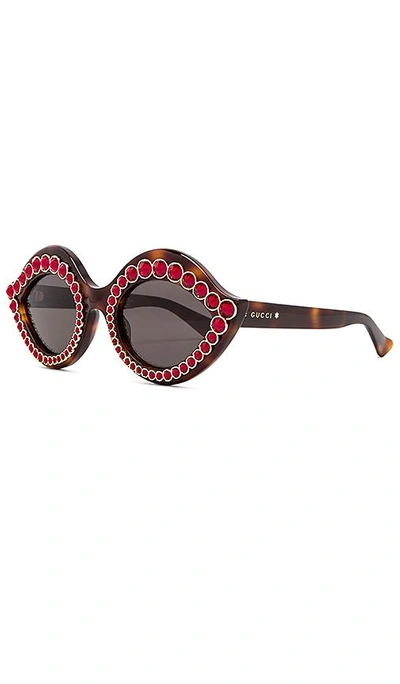 Shop Gucci Cat Eye Crystal In Brown