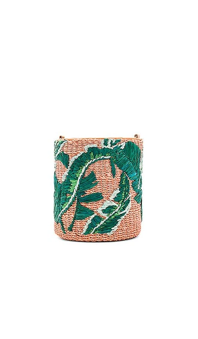 Shop Aranaz Nana Mini Bucket Bag In Green