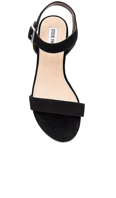 Shop Steve Madden Cashmere Sandal In Black