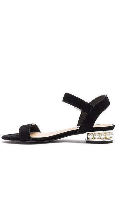 Shop Steve Madden Cashmere Sandal In Black