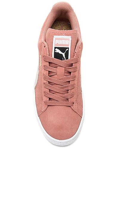 Shop Puma Suede Classic Sneaker In Rose