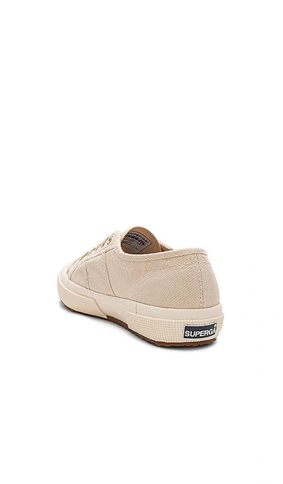 Shop Superga 2750 Classic Sneaker In Cream