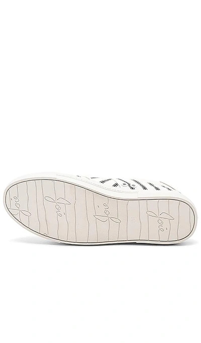 Shop Joie Dakota Sneaker In White