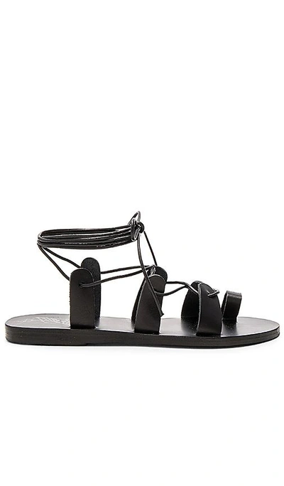 Shop Ancient Greek Sandals Alcyone Sandal In Black