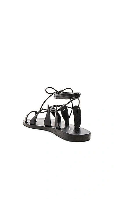 Shop Ancient Greek Sandals Alcyone Sandal In Black