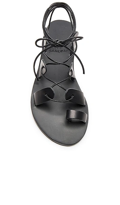 Shop Ancient Greek Sandals Alcyone Sandal In Black