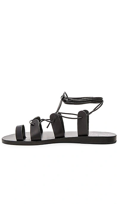 Shop Ancient Greek Sandals Alcyone Sandal In Black