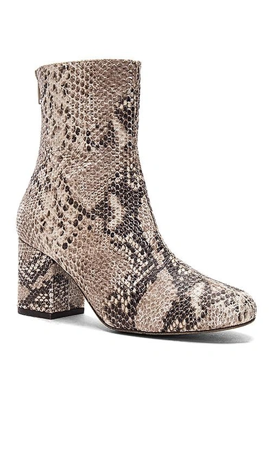 Shop Free People Cecile Ankle Boot In Gray. In Taupe