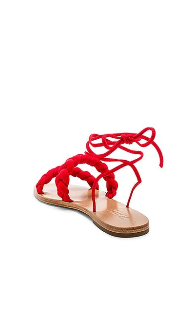 Shop Raye Talya Sandal In Red