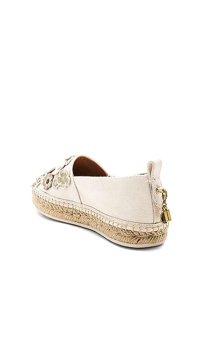 Shop Coach Tea Rose Astor Espadrille In Ivory