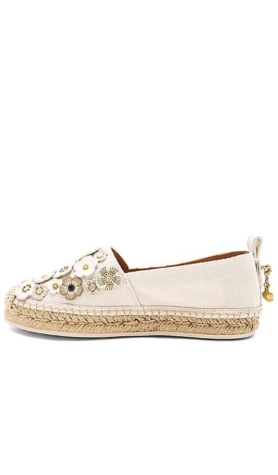 Shop Coach Tea Rose Astor Espadrille In Ivory