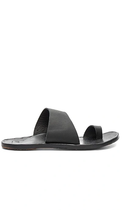 Shop Beek Finch Sandal In Black