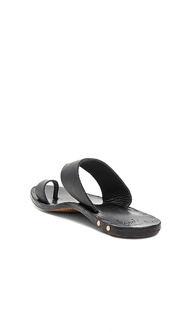 Shop Beek Finch Sandal In Black