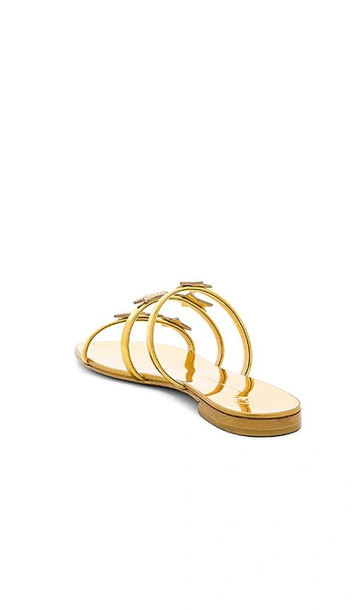 Shop Giuseppe Zanotti Nuvoroll Star Sandal In Metallic Gold