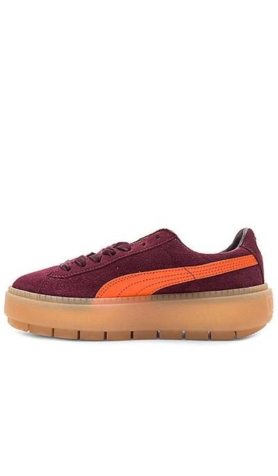 Shop Puma Suede Platform Trace Block Sneaker In Wine