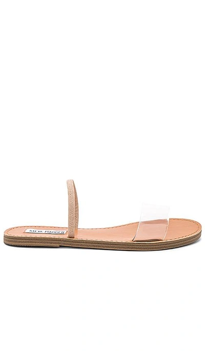 Steve Madden Dasha Sandal In Nude | ModeSens