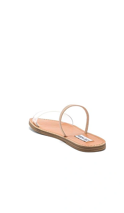 Steve madden dasha best sale sandals
